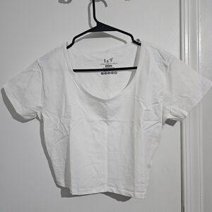 White Short Sleeved Crop Top